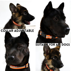 Reflective Leash Set