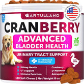 Dog UTI Treatment