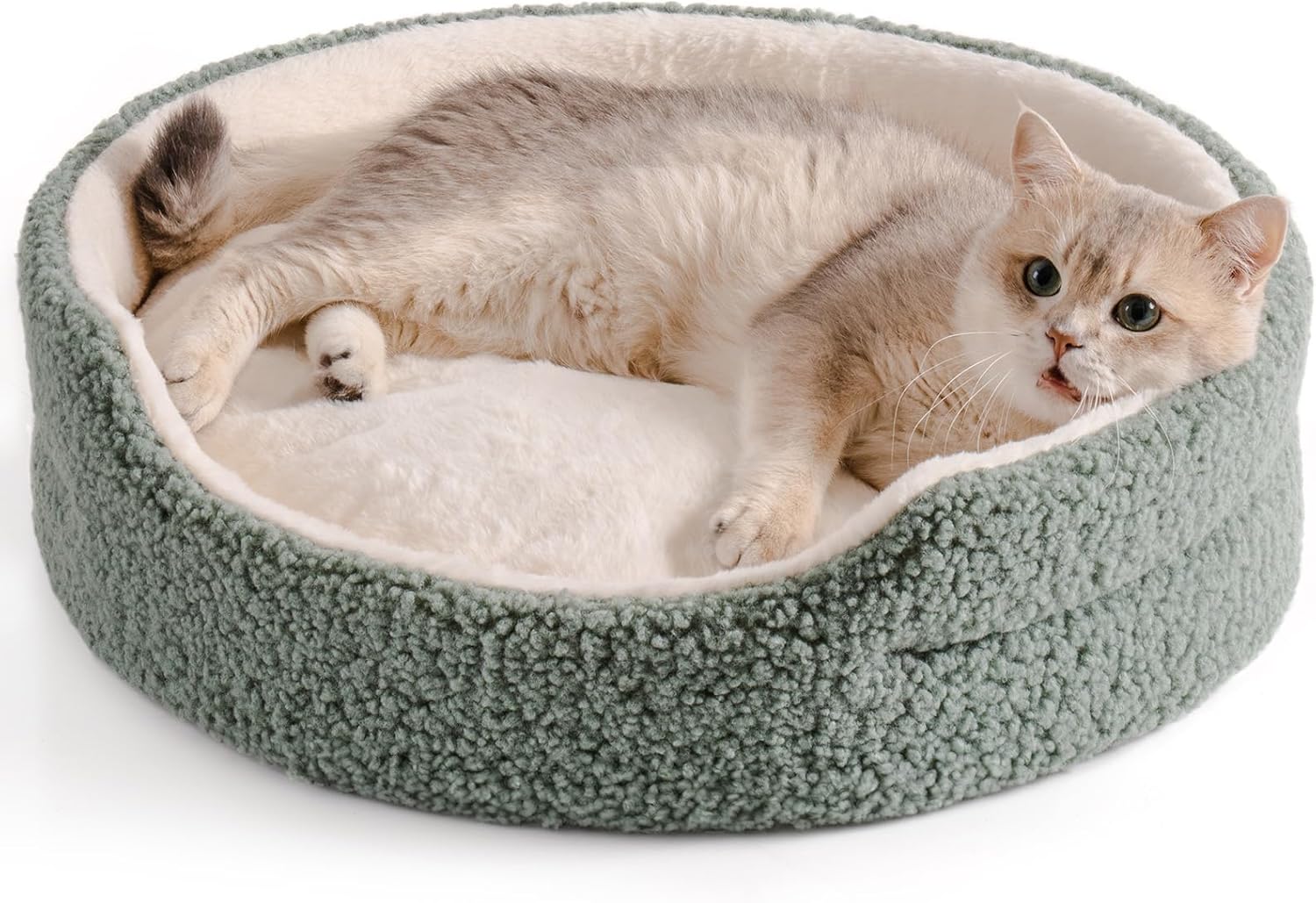 Washable Pet Bed for Cats, Kittens & Small Dogs - 23x23x7 Inch Round Orthopedic Bed with Non-Slip Bottom, Sage Green