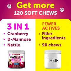 Dog UTI Treatment