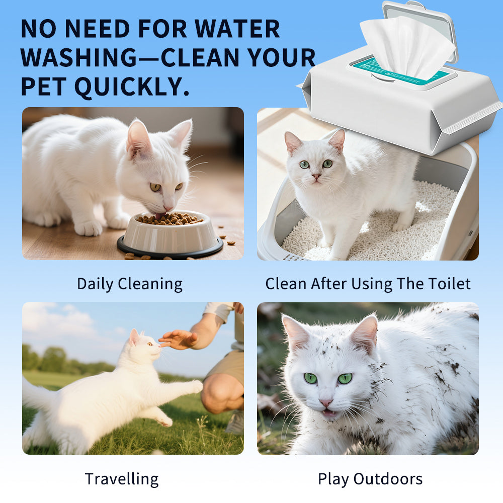 Pet Wipes for Cats and Kittens-Unscented, Alcohol-Free Gentle Grooming Wipes -100 Sheets
