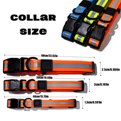 Reflective Leash Set